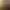 Image to Image AI effects generated image
