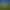 Image to Image AI effects generated image