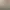 Image to Image AI effects generated image