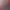 Image to Image AI effects generated image