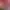 Image to Image AI effects generated image