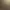 Image to Image AI effects generated image