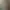 Image to Image AI effects generated image
