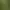 Image to Image AI effects generated image