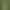 AI Tattoo AI effects generated image