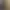 Image to Image AI effects generated image