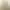 Image to Image AI effects generated image