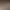 AI Portrait AI effects generated image