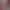 Image to Image AI effects generated image