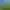 Image to Image AI effects generated image
