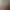 Image to Image AI effects generated image