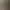 Image to Image AI effects generated image