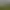 Image to Image AI effects generated image