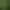 Image to Image AI effects generated image
