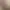 Image to Image AI effects generated image
