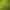 Image to Image AI effects generated image