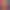 Image to Image AI effects generated image