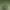 Image to Image AI effects generated image