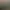 Image to Image AI effects generated image