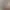 Image to Image AI effects generated image