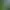 Image to Image AI effects generated image