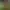 Image to Image AI effects generated image