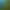 Image to Image AI effects generated image