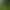 Image to Image AI effects generated image