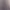AI Portrait AI effects generated image