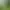 Image to Image AI effects generated image