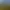 Image to Image AI effects generated image
