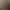 Image to Image AI effects generated image