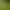 Image to Image AI effects generated image