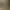 Image to Image AI effects generated image