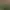 Image to Image AI effects generated image