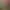 Image to Image AI effects generated image