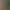 Image to Image AI effects generated image