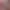 Image to Image AI effects generated image