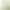 ImageEditor AI effects generated image