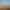 Image to Image AI effects generated image