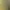 Image to Image AI effects generated image