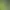Image to Image AI effects generated image