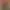 Image to Image AI effects generated image