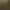 Image to Image AI effects generated image