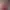 AI Portrait AI effects generated image