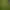 Image to Image AI effects generated image