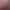 Magic Eraser AI effects generated image
