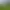 Image to Image AI effects generated image