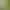 Image to Image AI effects generated image