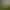 Image to Image AI effects generated image